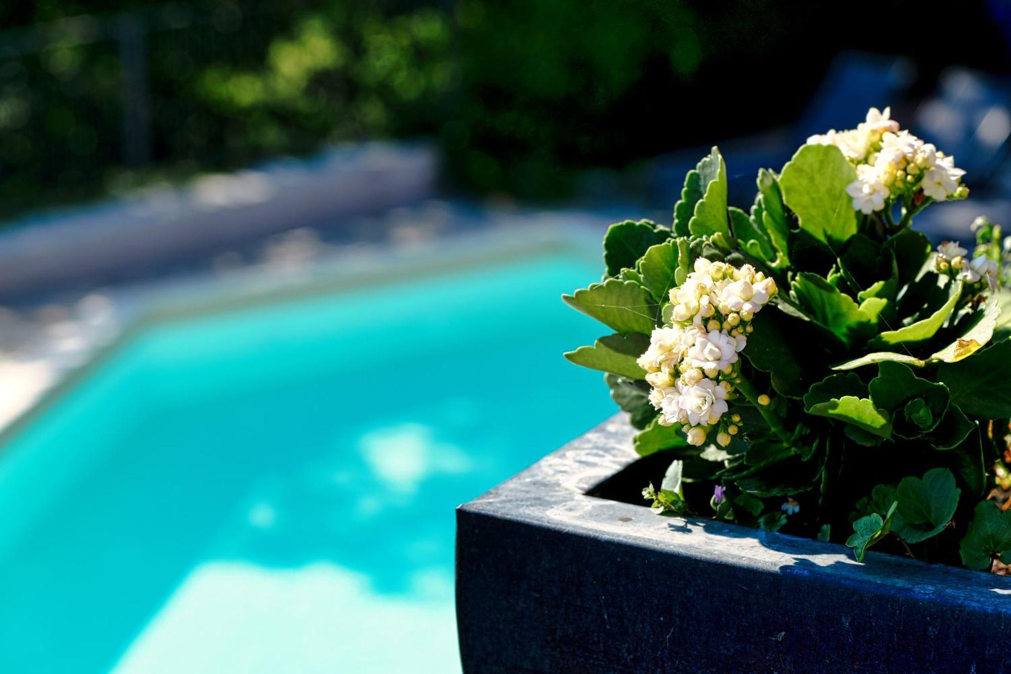 Bed and Breakfast Viavai Casalborgone Exterior foto